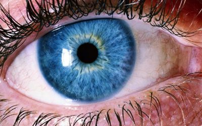 Retinal Detachment: Are You at Risk?